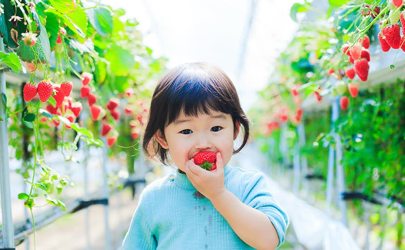 アンジェリカ保育園